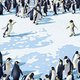 Image for article titled Happy Feet